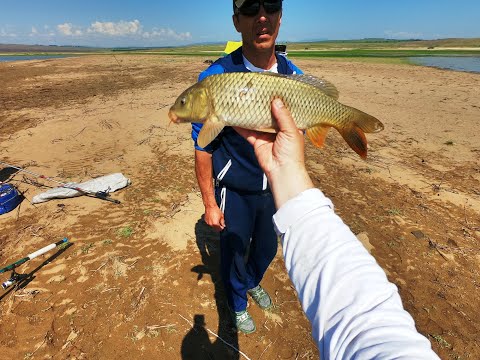 Видео: ЧТОБЫ ПОЙМАТЬ САЗАНА,НАДО...!!!/РЫБАЛКА НА ПАУК!!!/ДЕЛО ПОШЛО!!!/КАРПФИШИНГ!!!/2 СЕРИЯ