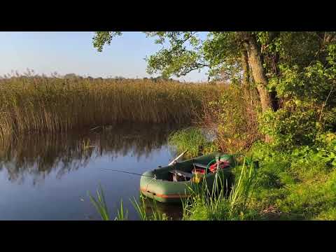Видео: На озере.