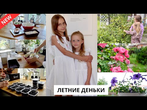 Видео: 🍓ЗАГОТОВКА ЯГОД| домашний театр, готовлю ужин, покупки для лета, репортаж из сада