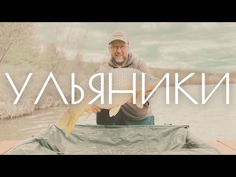 Видео: Ульяники 2021. Лебедь, Карп и Амур