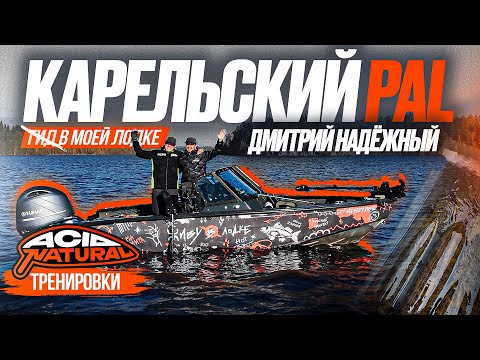 Видео: ЧТО БУДЕТ ЕСЛИ ПРОВЕСТИ PAL В КАРЕЛИИ!? 