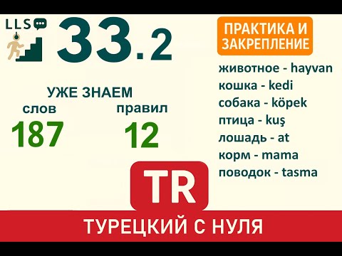 Видео: Урок 33.2. Практика: Моя кошка, твоя собака
