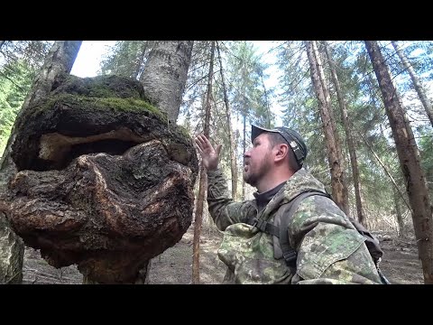 Видео: Тут жили древние РЫБАКИ. Коп в лесу у озера. Кладоискатель Руся