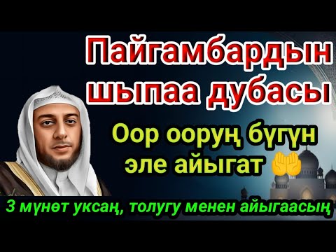 Видео: Пайгамбардын дубасы — 3 мүнөттө айыгаасың! Угуп коюу эле жетиштүү 🤲