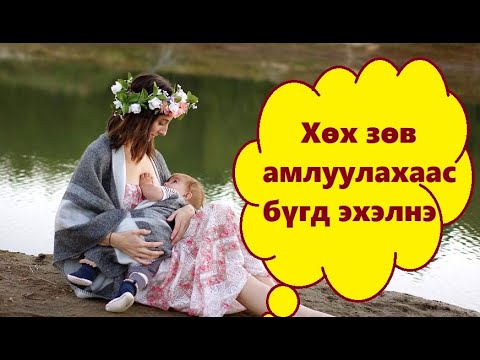 Видео: Хөх амлуулах хамгийн эхний чухал алхам, хөхөө хэрхэн зөв амлуулах вэ