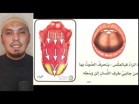 Видео: МАХРАДЖ НУН النون , РО الراء | БУКВЫ ПЕРЕДНЕЙ ЧАСТИ ЯЗЫКА