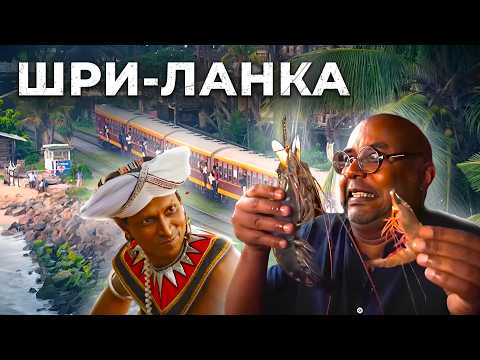 Видео: Гигантские креветки, рыбные поля и бит уличной еды / Шри-Ланка