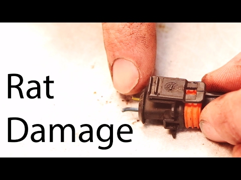 Видео: Как починить разъемы проводов на вашем автомобиле