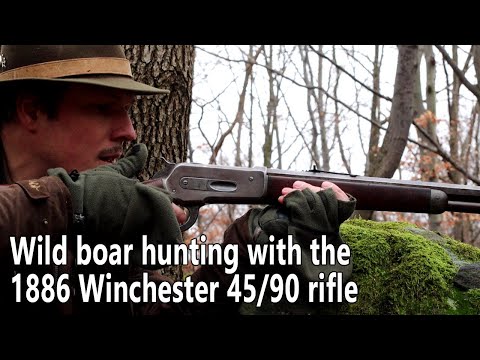 Видео: Охота на кабана с винтовкой Winchester 45/90 1886 года