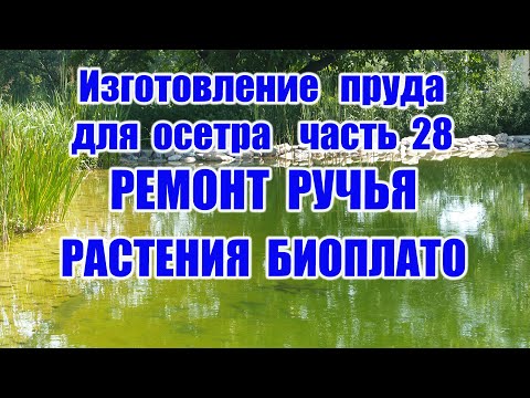 Видео: Изготовление пруда для осетра (часть 28) Растения биоплато