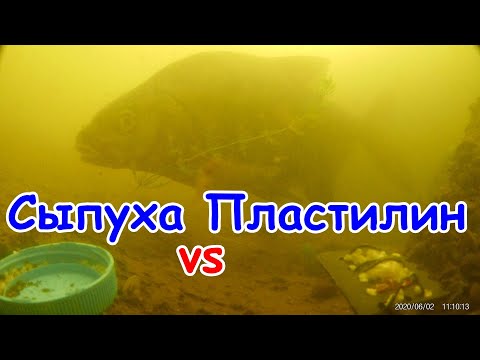 Видео: 🐟  Реакция рыбы на ПЛАСТИЛИН (залипуху) VS сыпуху. Подводная съемка рыбалки. Карась, плотва, уклейка