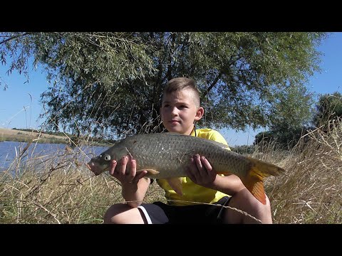 Видео: Отец с сыном . Водоем "ЛАГУНА -2". Запорожье . 20 сентября 20г .