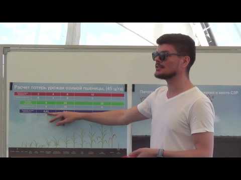 Видео: Приниципы работы с фунгицидами