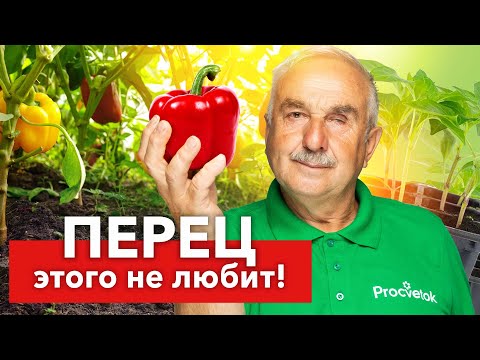 Видео: НЕ ДЕЛАЙТЕ ЭТИ ОШИБКИ ПРИ ПОСЕВЕ ПЕРЦА! Агроном раскрыл 7 ошибок всех начинающих огородников