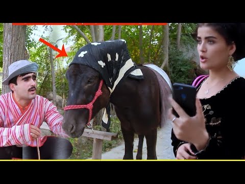 Видео: Кош Ба Чойи Зара Аруси Нав Ёофт🤣🤣🤣🤣💋💋💋💋💋