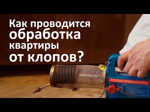 Видео: Как проводится обработка квартиры от клопов