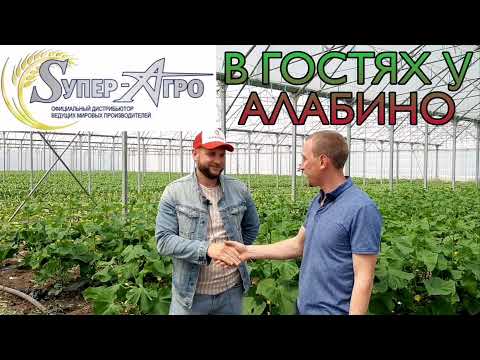 Видео: Нужен ли фермеру собственный бренд? Александр Алабин