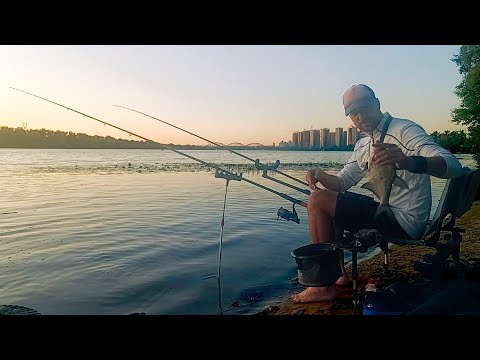 Видео: Змінив гачок і пішла жара 🎣Осокорки ☘️ Рибалка в Києві 