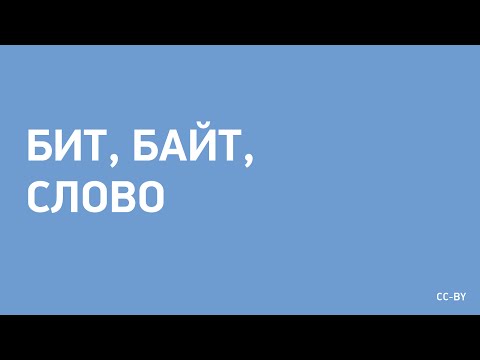 Видео: Бит, Байт, Слово