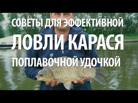 Видео: КАРАСЬ - ПОПЛАВОЧНАЯ РЫБАЛКА на КАРАСЯ