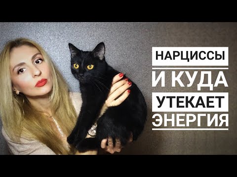 Видео: Нарцисс вампирит Энергию