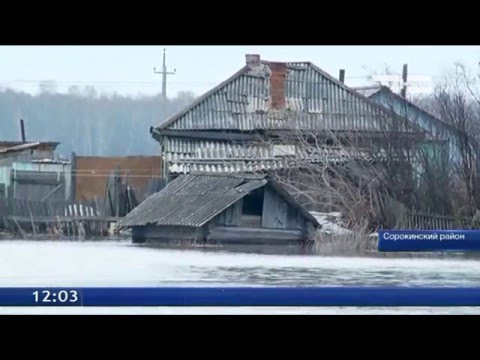 Видео: Паводок пришел в Сорокино