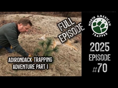 Видео: 2025 Эпизод №70 ~ Приключения в Адирондаке, часть I