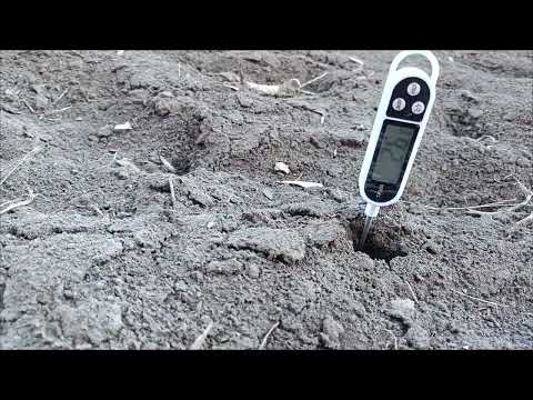 Видео: Підживлення часнику азотними добривами. Карбамід чі селітра?  Переваги ручного розкидача добрив.