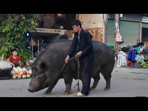 Видео: Изучение традиционного рынка на границе Вьетнама и Китая