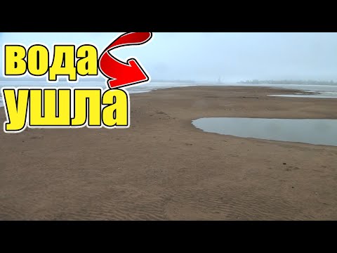 Видео: Обалдеть!Ушла вода и открылись богатые берега с удивительными находками!Находки в воде!