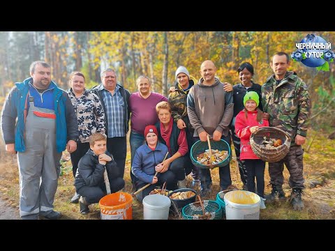 Видео: Лес не видел ещё столько грибников, а наш стол не встречал столько много гостей. Окно в овчарню.