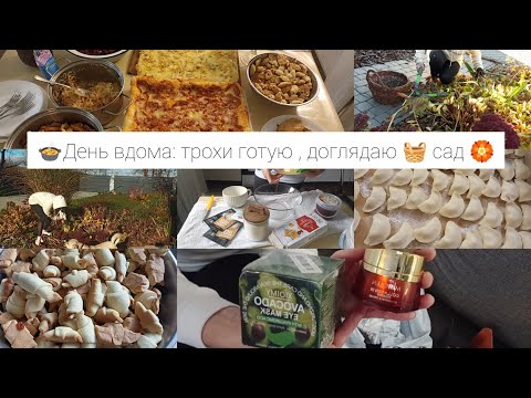Видео: 🌸Мій звичайний день :готую 🍲й наводжу красу в саду 🍂🏵️
