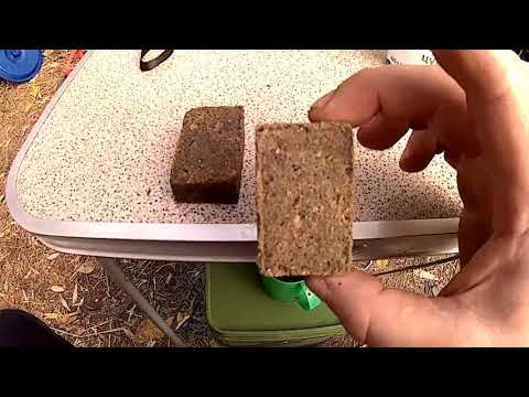 Видео: Ловля на макуху в октябре в заливе Днепра