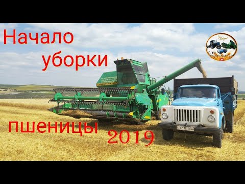 Видео: Начало уборки пшеницы Комбайн НИВА СК-5 🔴Молдова 2019