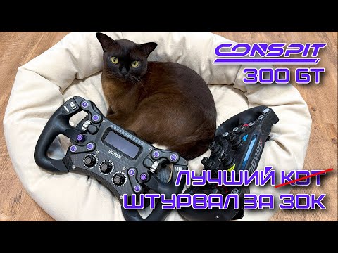 Видео: Conspit 300GT Лучший руль для симрейсинга за 30к!