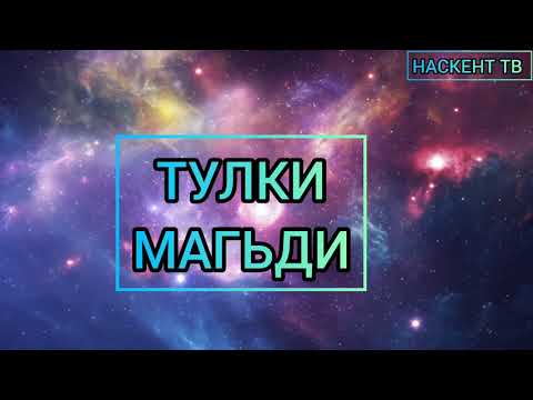 Видео: ТУЛКИ-МАГЬДИ