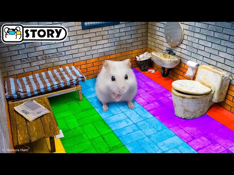 Видео: Хомяк Грабитель сбегает из Тюремного Лабиринта 🐹 Хомура Хам Питомцы