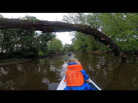 Видео: Короткая SUP-прогулка по Москве-реке | Петрово-Дальнее - Глухово | Лохин остров | #sup