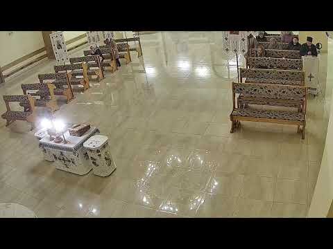 Видео: Трансляція