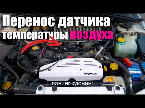 Видео: Измеряй температуру правильно!