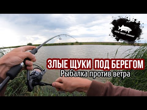 Видео: Раздача щуки в сильный ветер #рыбалка #астана #fishing #2024