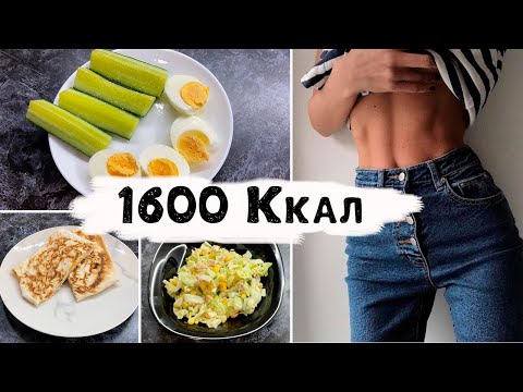 Видео: ПП рацион на день 🌷 Меню на 1600 калорий для похудения 💜 Правильное питание