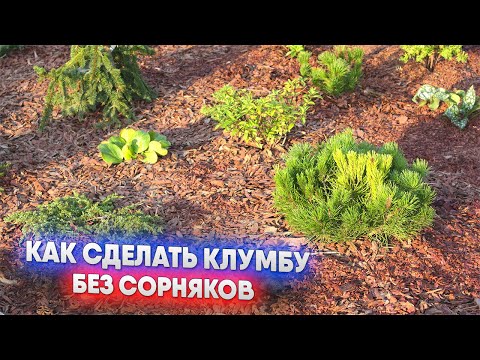 Видео: Как сделать клумбу без сорняков