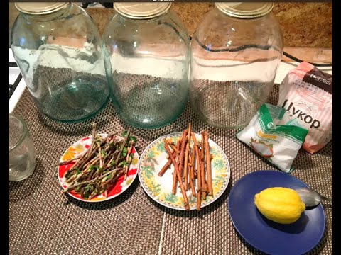 Видео: Консервируем березовый сок Готовим берёзовый квас