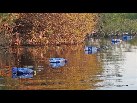 Видео: ЧТО ЖЕ МЫ РАНЬШЕ ТАК НЕ ЛОВИЛИ.Перемет из БУТЫЛОК. Простая рабочая снасть за 5 минут!