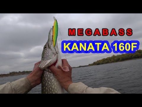 Видео: MEGABASS Kanata 160F.Если Каната в ударе,надо пользоваться моментом.Pike Fishing.