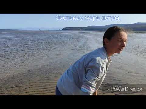 Видео: Как горбуша пешком пытается уйти в море по отливу. Магадан. Игры северных детей