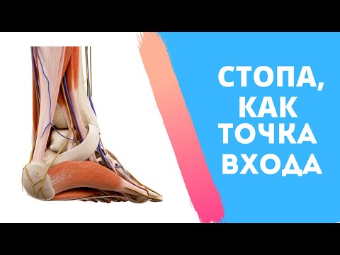Видео: Запись прямого эфира. Значение стоп для всего организма.