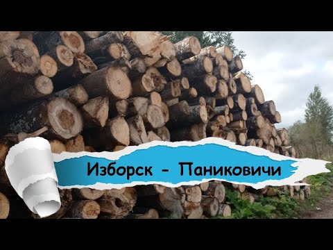 Видео: На велосипедах через болото. Пропустили поворот и оказались на лежневке для лесовозов.