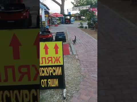 Видео: Дорога к пляжу  июль 2025.   Турция . Larissa Sultans Beach Hotel 4